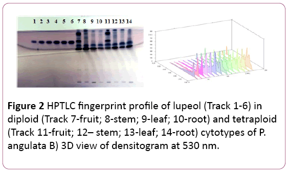 biochem-molbio-HPTLC-fingerprint