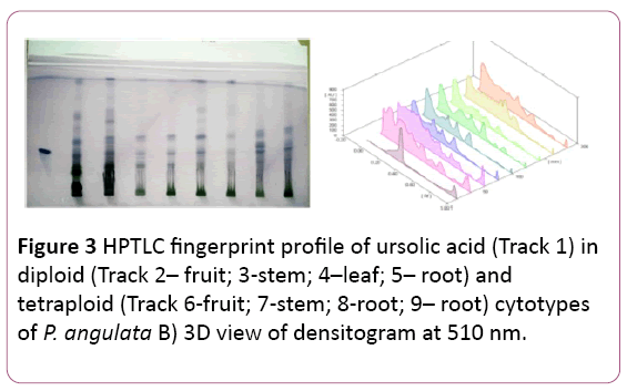 biochem-molbio-HPTLC-fingerprint