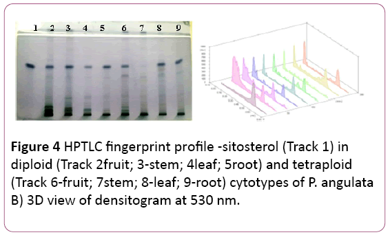 biochem-molbio-HPTLC-fingerprint