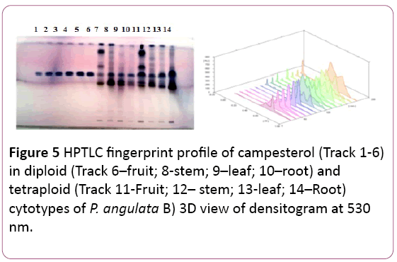 biochem-molbio-HPTLC-fingerprint