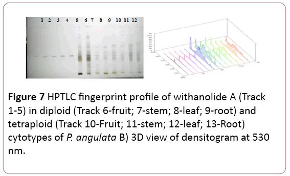 biochem-molbio-HPTLC-fingerprint