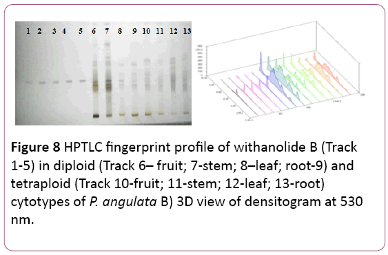 biochem-molbio-HPTLC-fingerprint