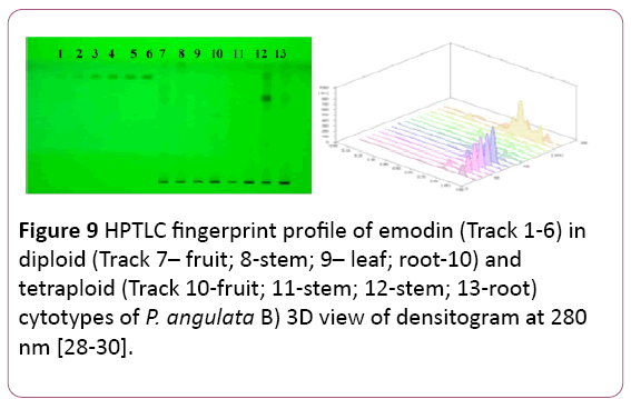 biochem-molbio-HPTLC-fingerprint