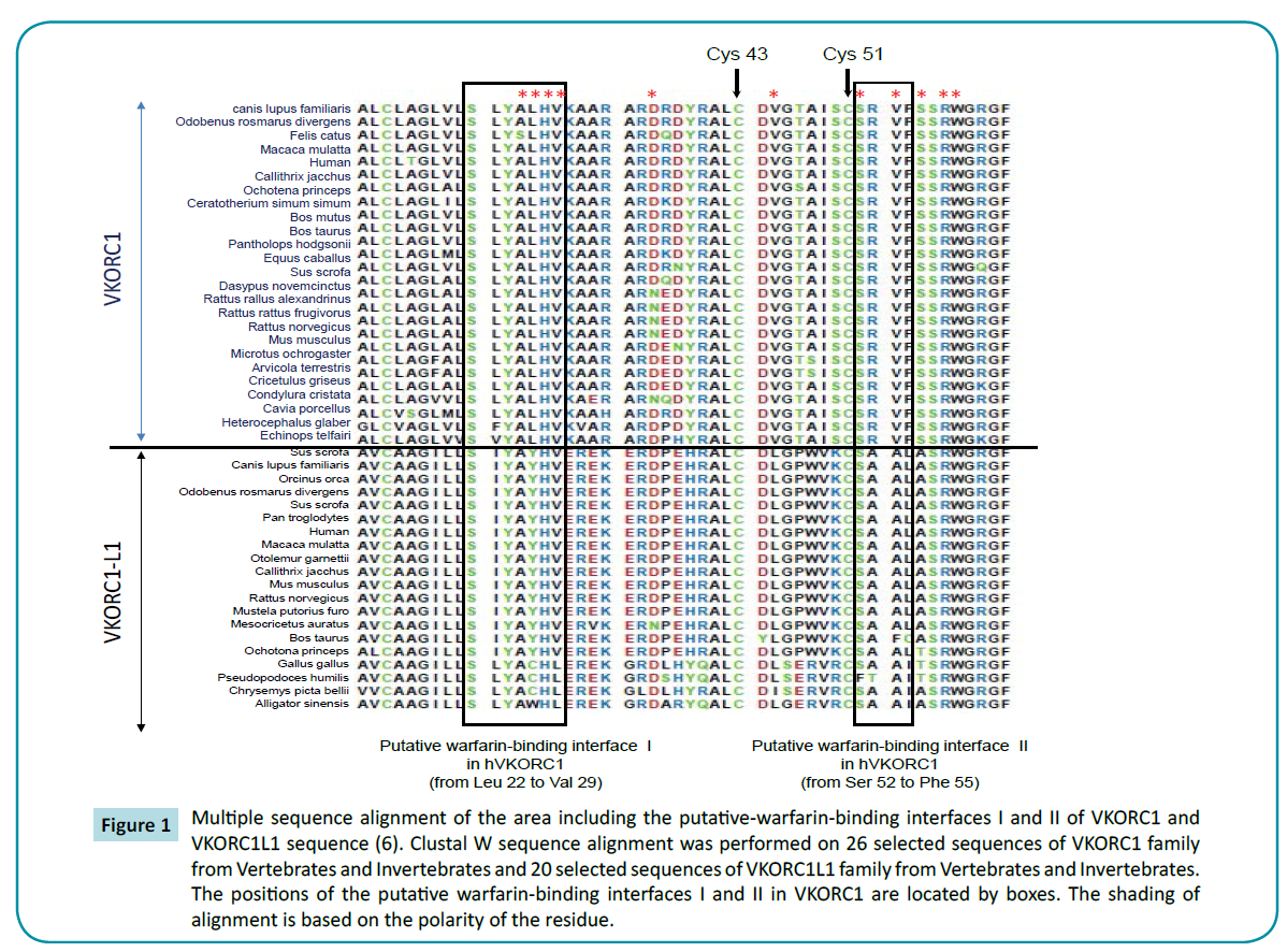 biochem-molbio-Multiple-sequence-alignment-area