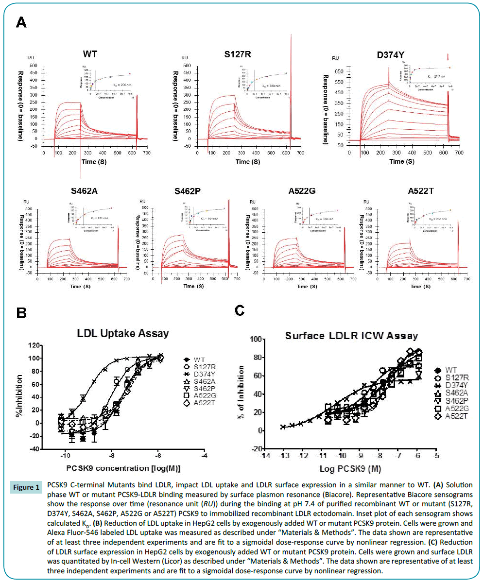 biochem-molbio-PCSK9-C-terminal