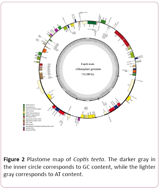 biochem-molbio-Plastome-map