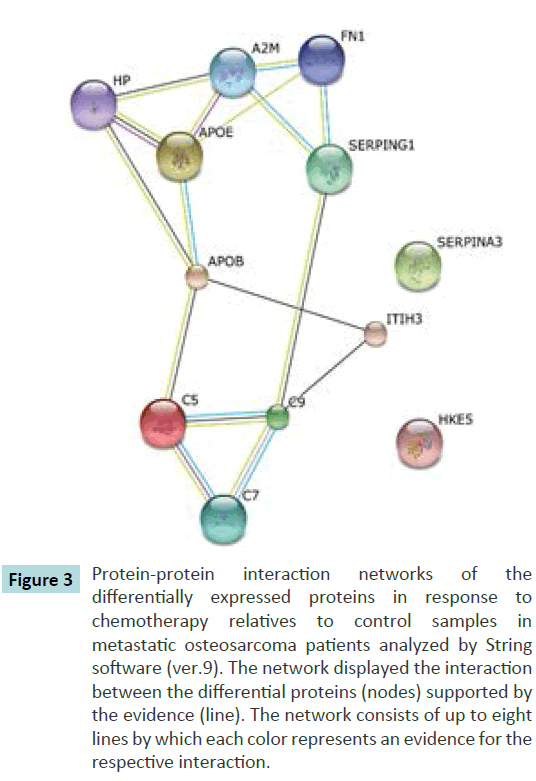 biochem-molbio-Protein-protein-interaction