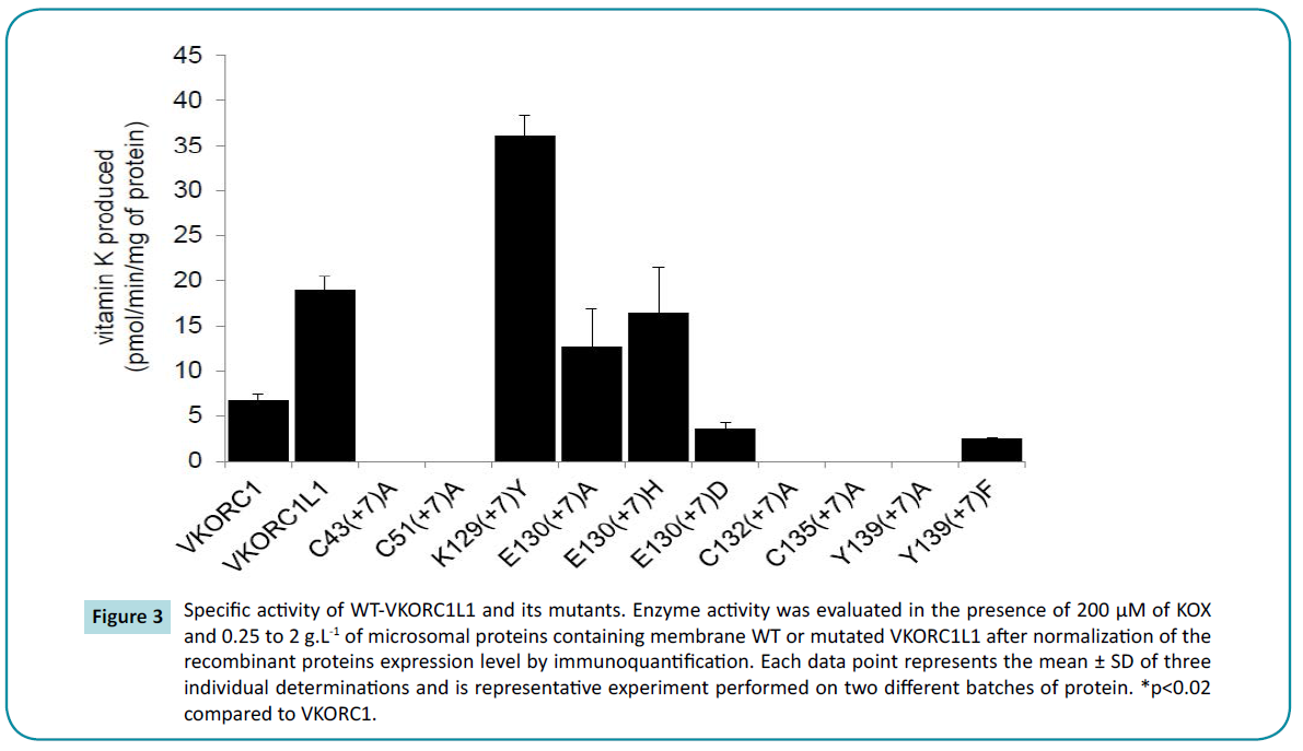 biochem-molbio-Specific-activity-WT-VKORC1L1