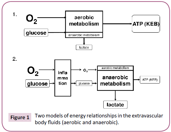 biochem-molbio-body-fluids