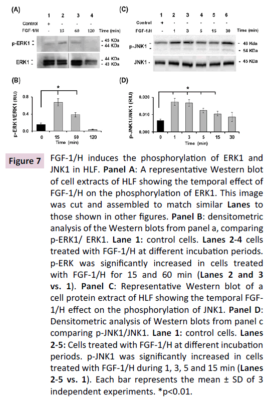 biochem-molbio-cell-extracts-HLF