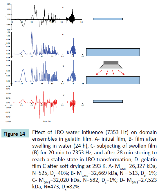 biochem-molbio-domain-ensembles-gelatin