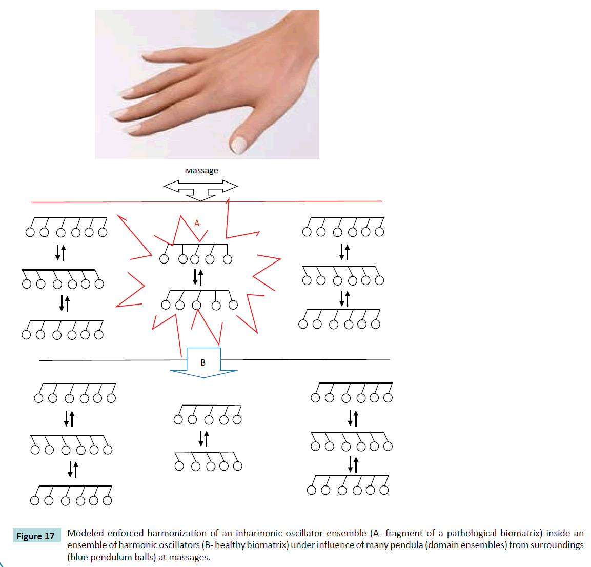 biochem-molbio-enforced-harmonization