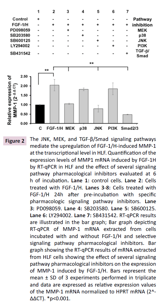 biochem-molbio-expression-levels