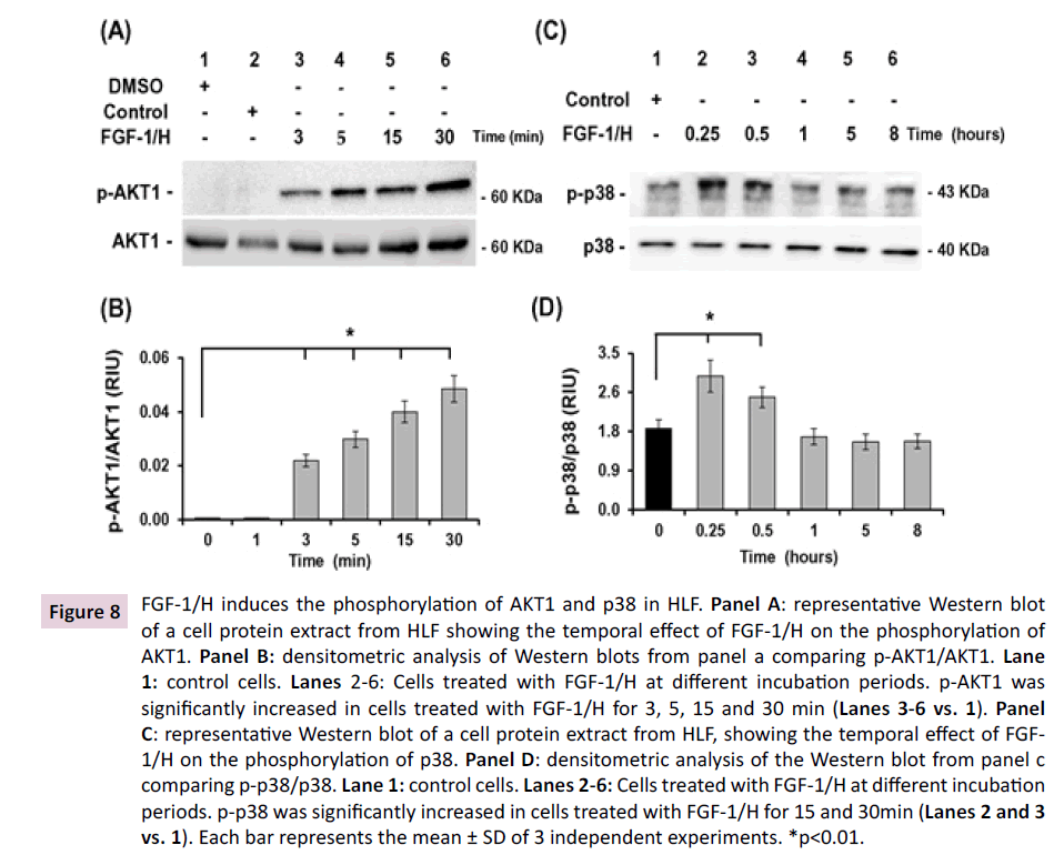 biochem-molbio-induces-phosphorylation