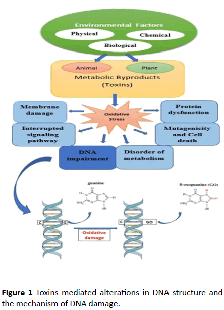 biochem-molbio-mediated-alterations