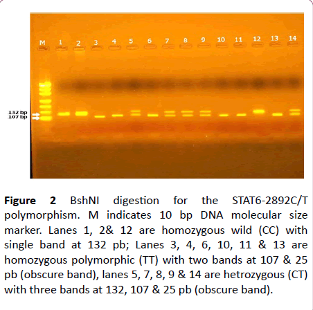 biochem-molbio-polymorphism-indicates