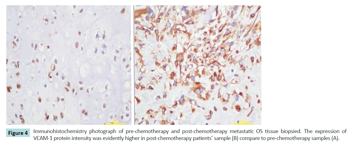 biochem-molbio-post-chemotherapy-metastatic