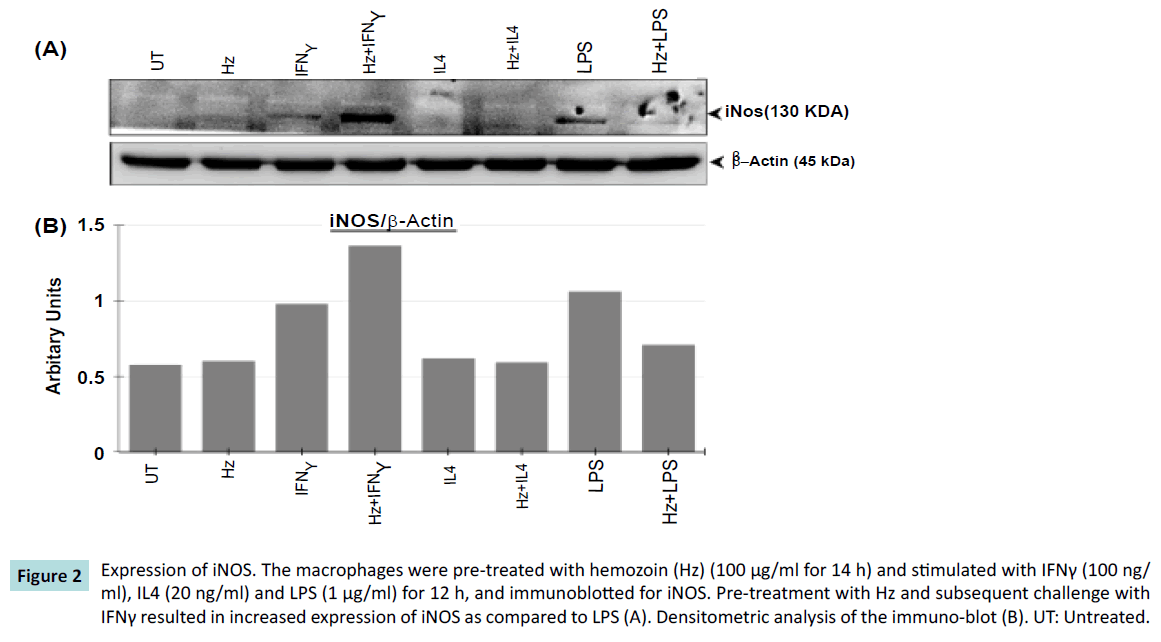 biochem-molbio-pre-treated