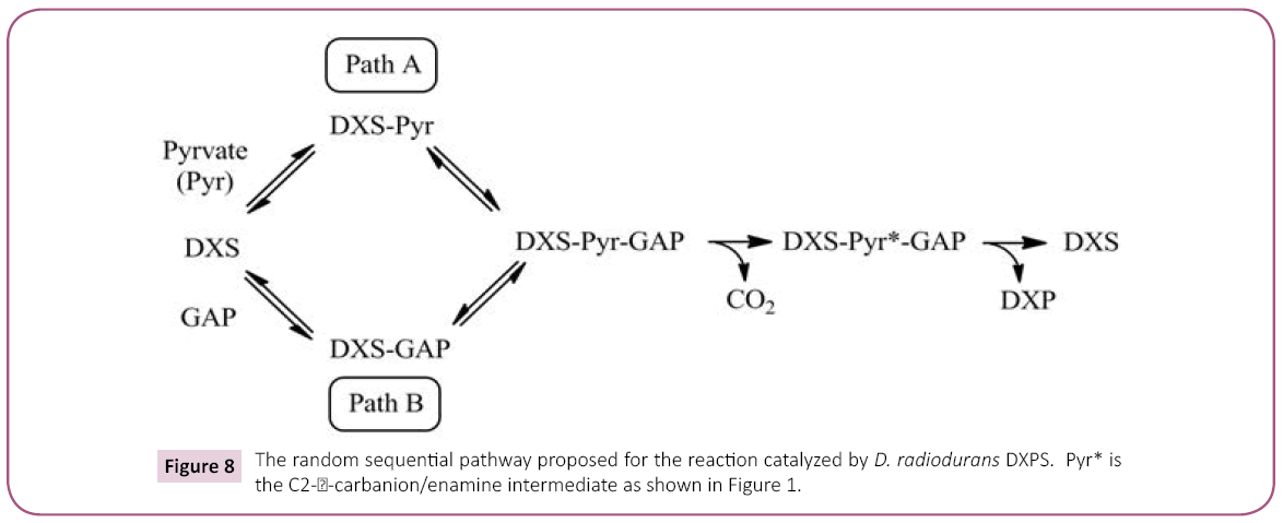 biochem-molbio-random-sequential