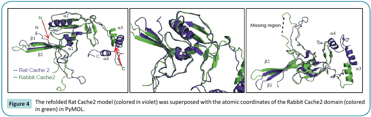 biochem-molbio-refolded-superposed-atomic