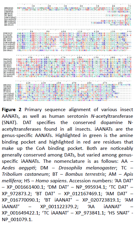 biochem-molbio-sequence-alignment