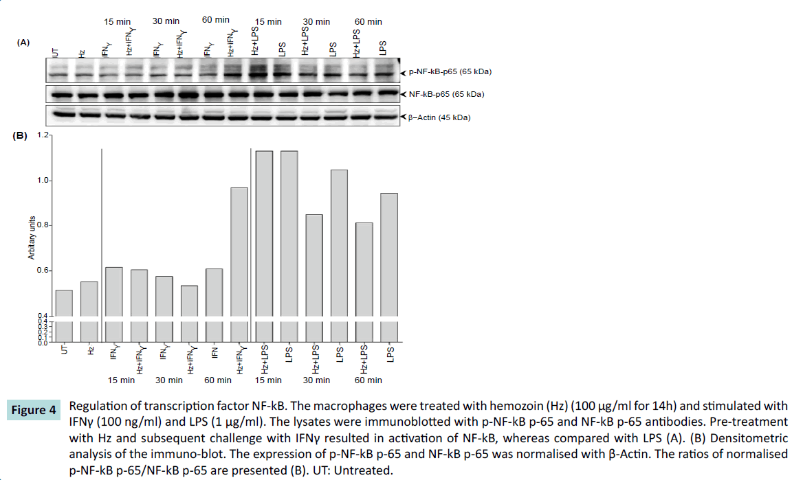 biochem-molbio-subsequent-challenge