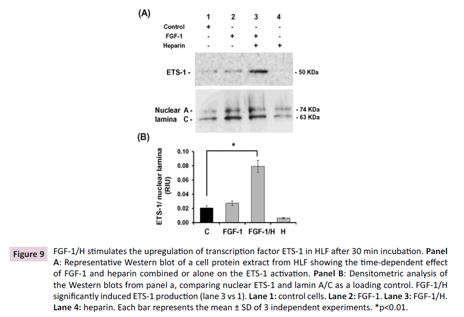 biochem-molbio-transcription-factor