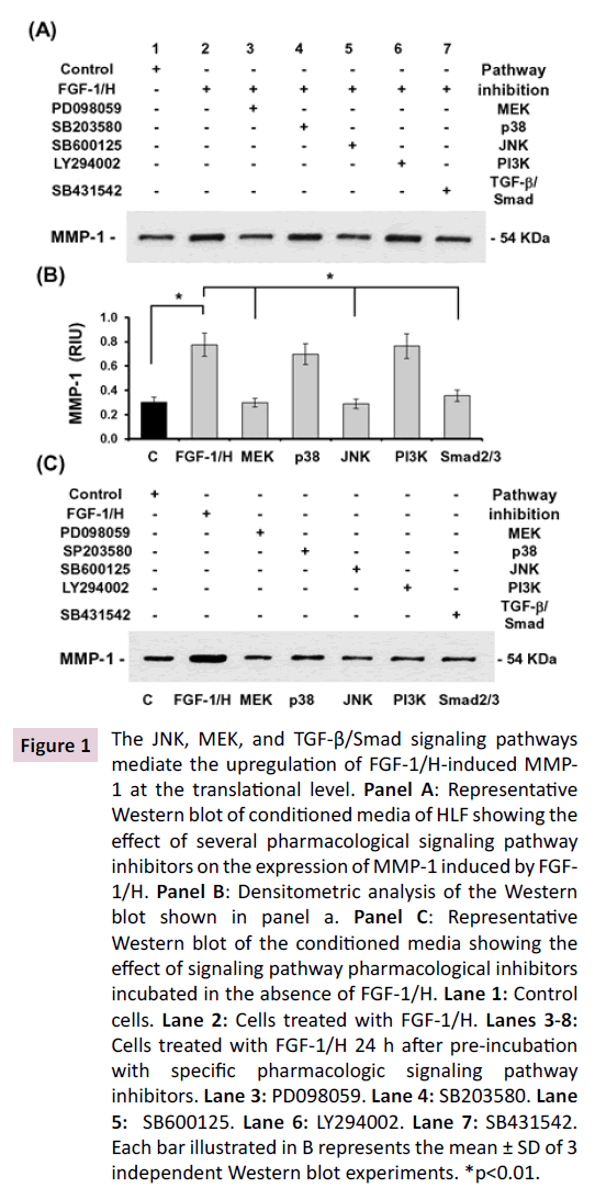 biochem-molbio-translational-level