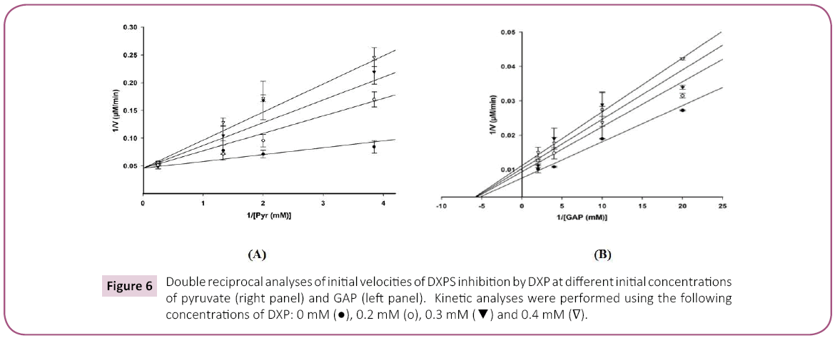 biochem-molbio-velocities-DXPS