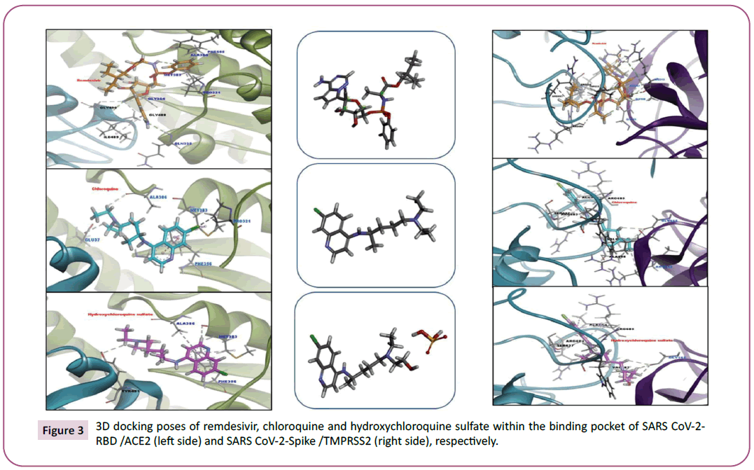 biochemistry-molecular-biology-docking-poses