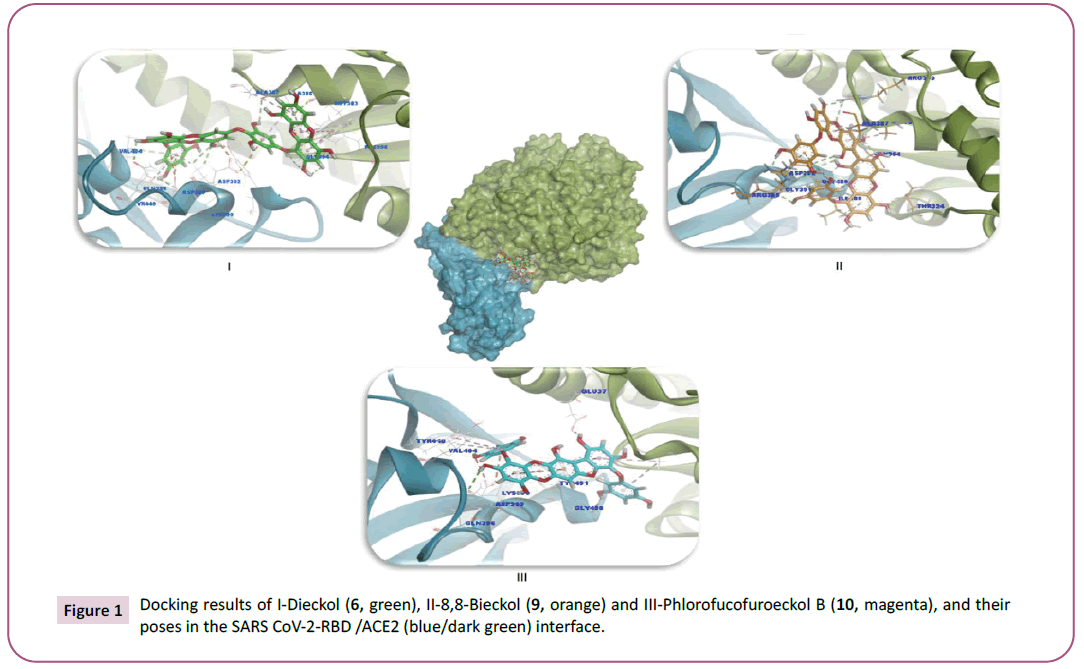 biochemistry-molecular-biology-docking-results