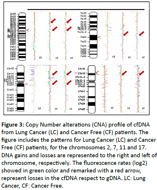 biomarkers-Copy-Number-alterations