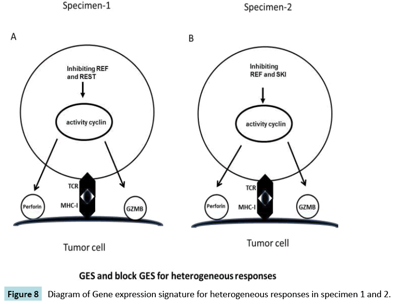 biomarkers-Diagram-Gene-expression