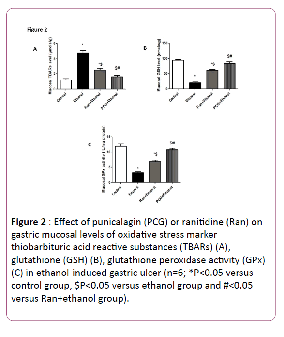 biomarkers-Effect-punicalagin