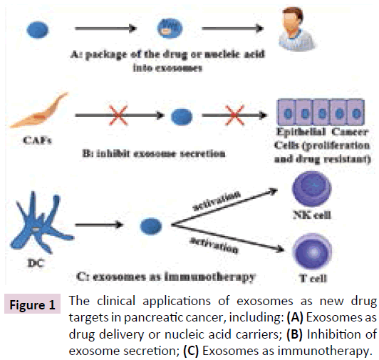 biomarkers-Exosomes-immunotherapy