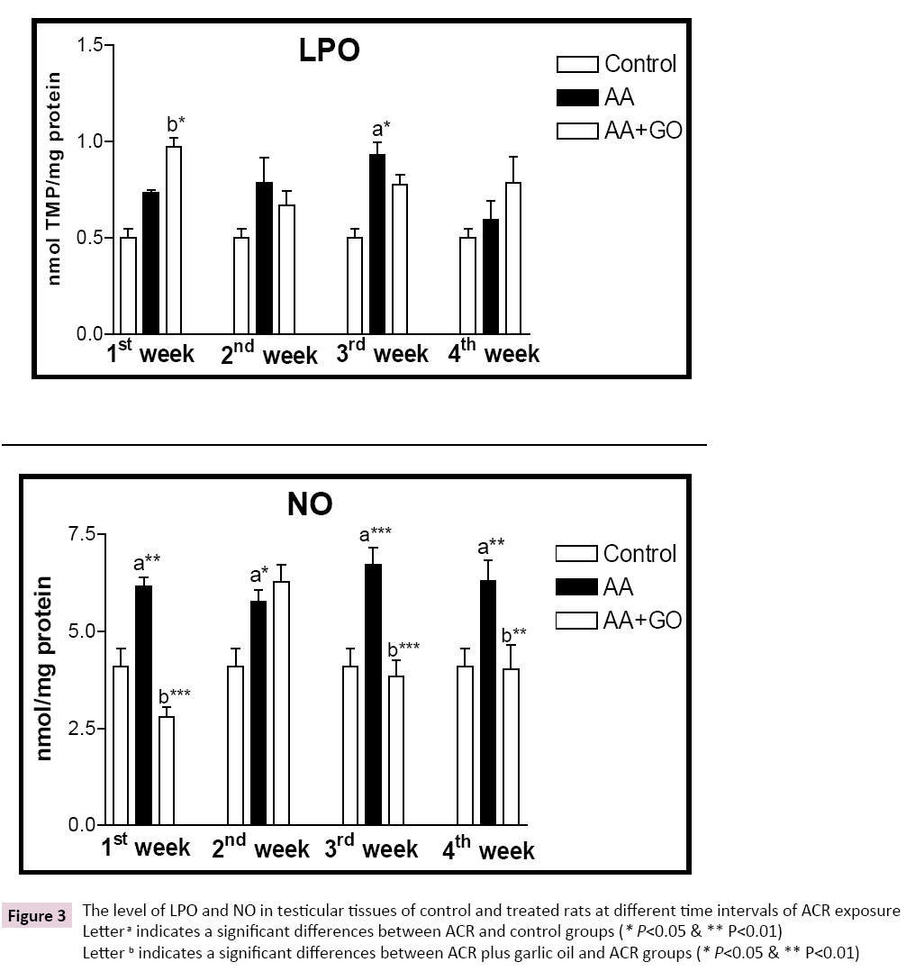 biomarkers-LPO-NO-testicular