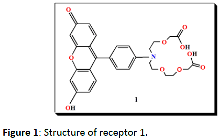 biomarkers-Structure-receptor