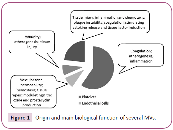 biomarkers-biological-function