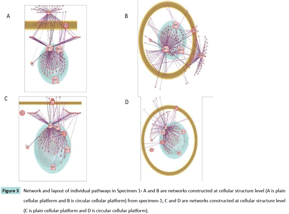 biomarkers-circular-cellular-platform