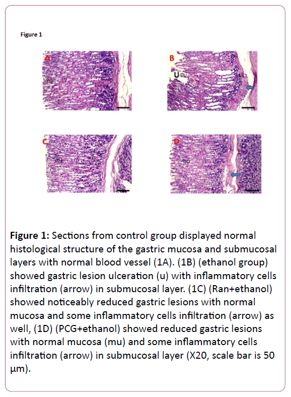 biomarkers-control-group