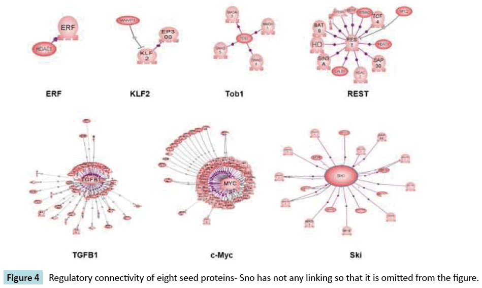 biomarkers-eight-seed-proteins