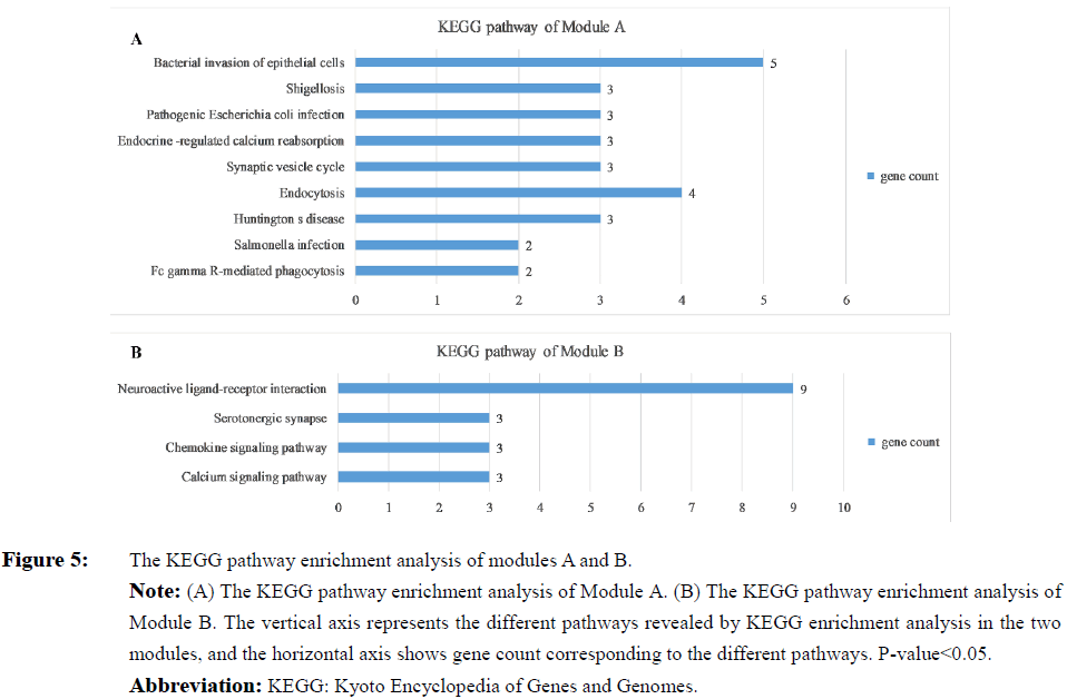 biomarkers-enrichment-analysis