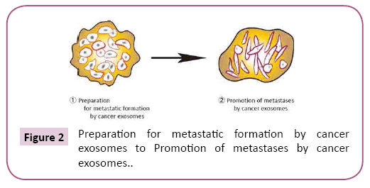 biomarkers-formation