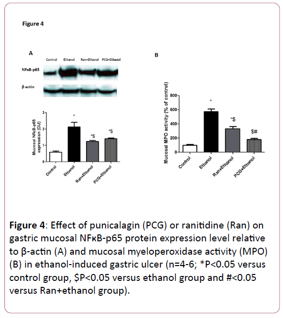 biomarkers-gastric-mucosal