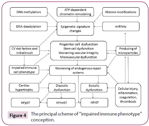 biomarkers-immune-phenotype