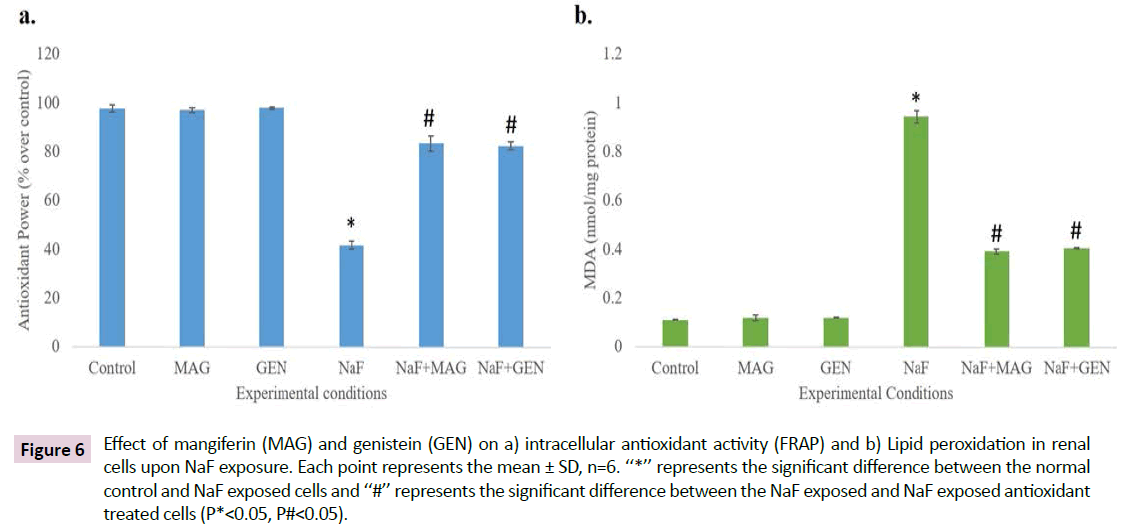 biomarkers-intracellular-antioxidant-activity