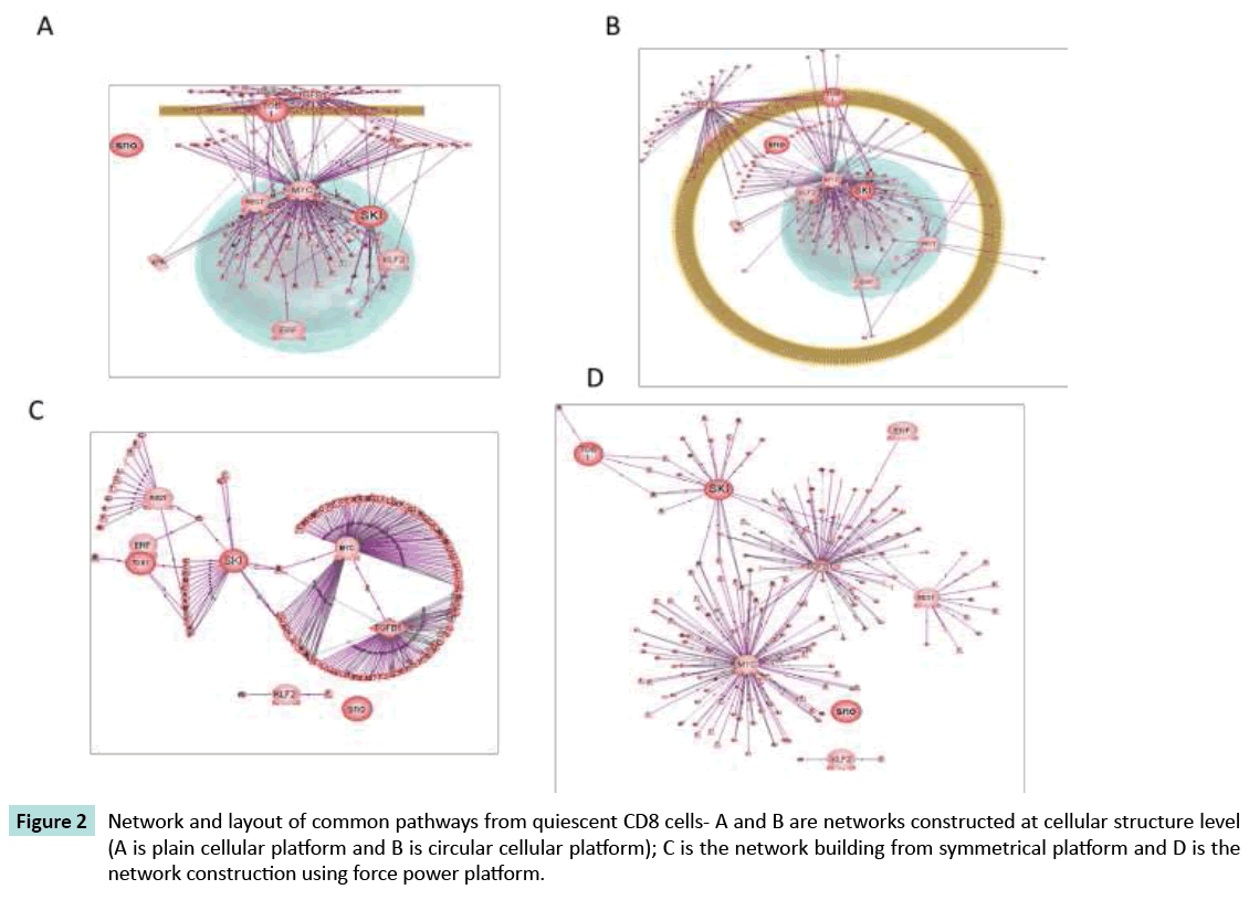 biomarkers-layout-common-pathways