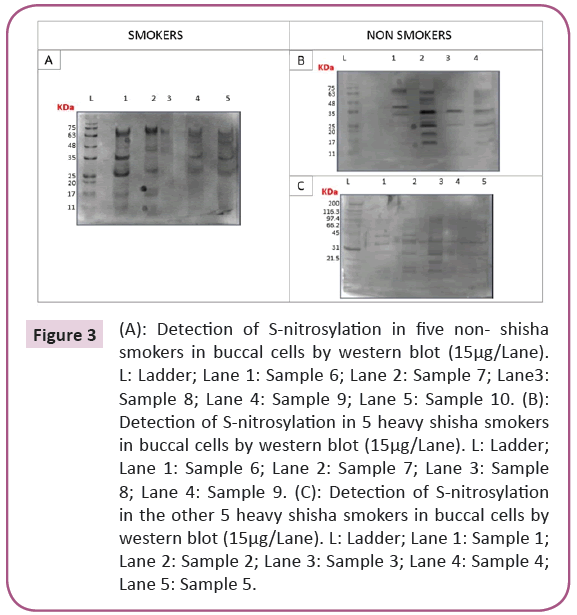 biomarkers-oxygen-buccal-cells