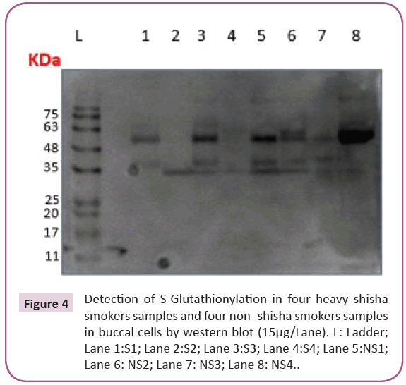 biomarkers-oxygen-heavy-shisha