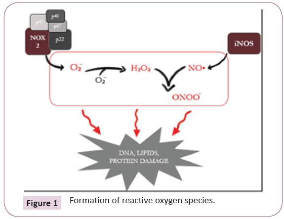 biomarkers-oxygen-species